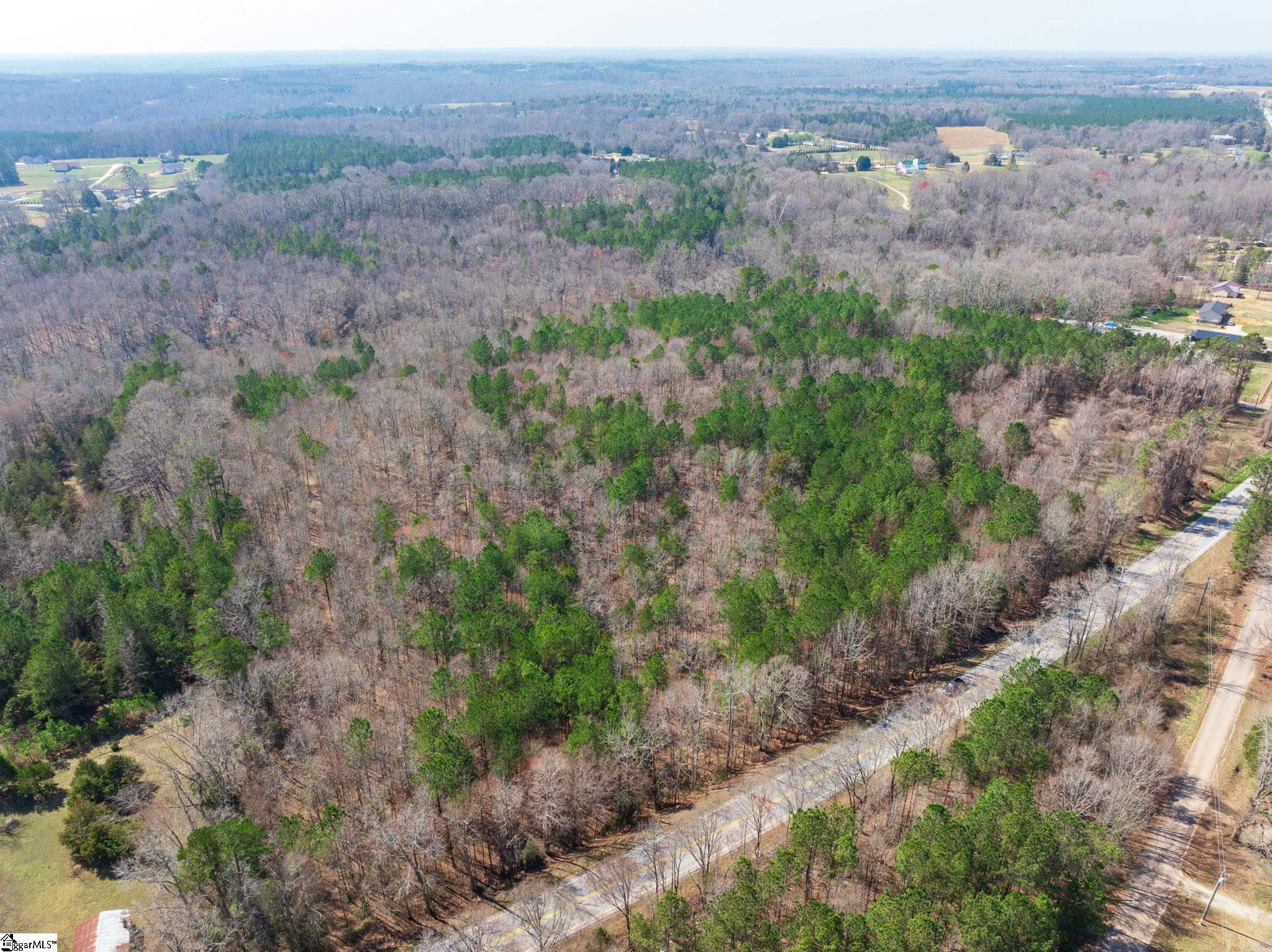 0 Cross Anchor Road Woodruff, SC 29388 - Photo 20 of 27