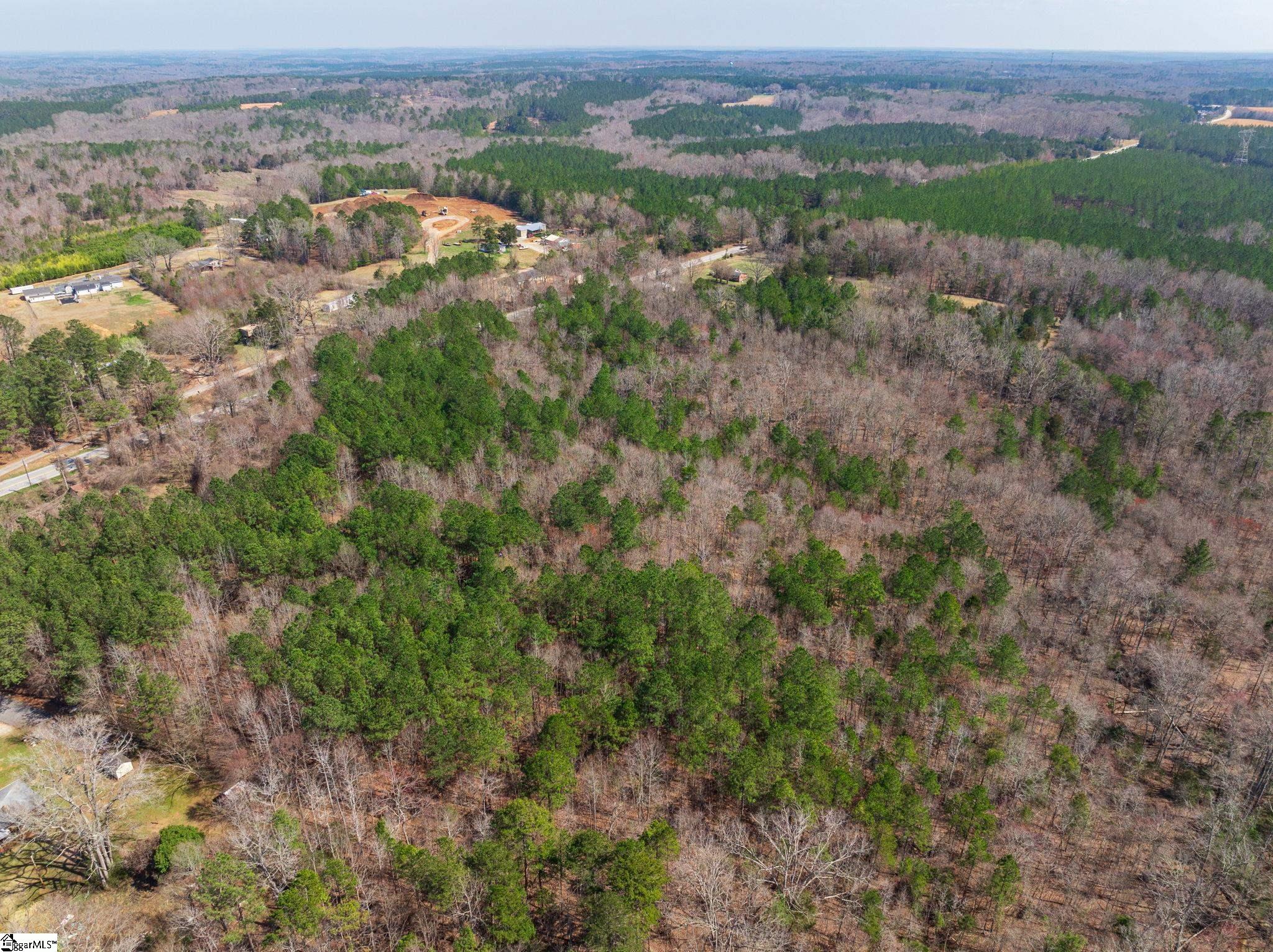 0 Cross Anchor Road Woodruff, SC 29388 - Photo 22 of 27