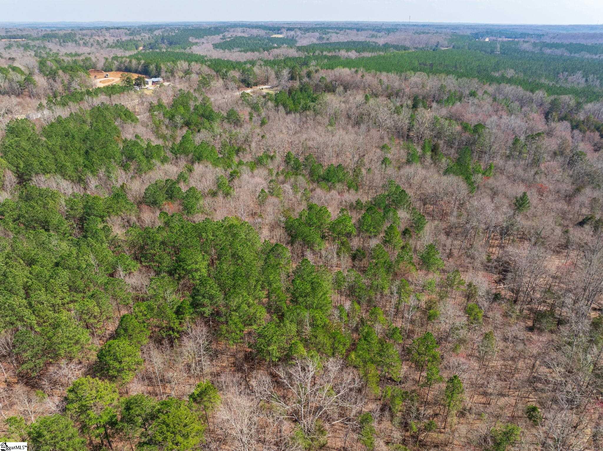 0 Cross Anchor Road Woodruff, SC 29388 - Photo 24 of 27
