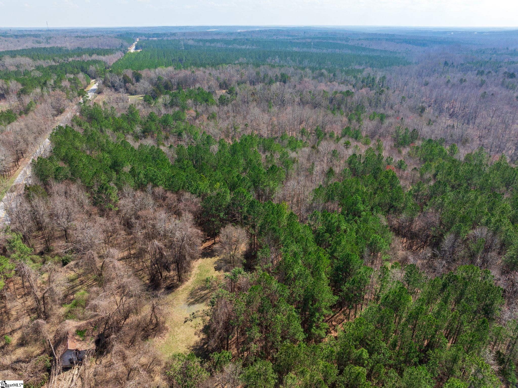 0 Cross Anchor Road Woodruff, SC 29388 - Photo 25 of 27