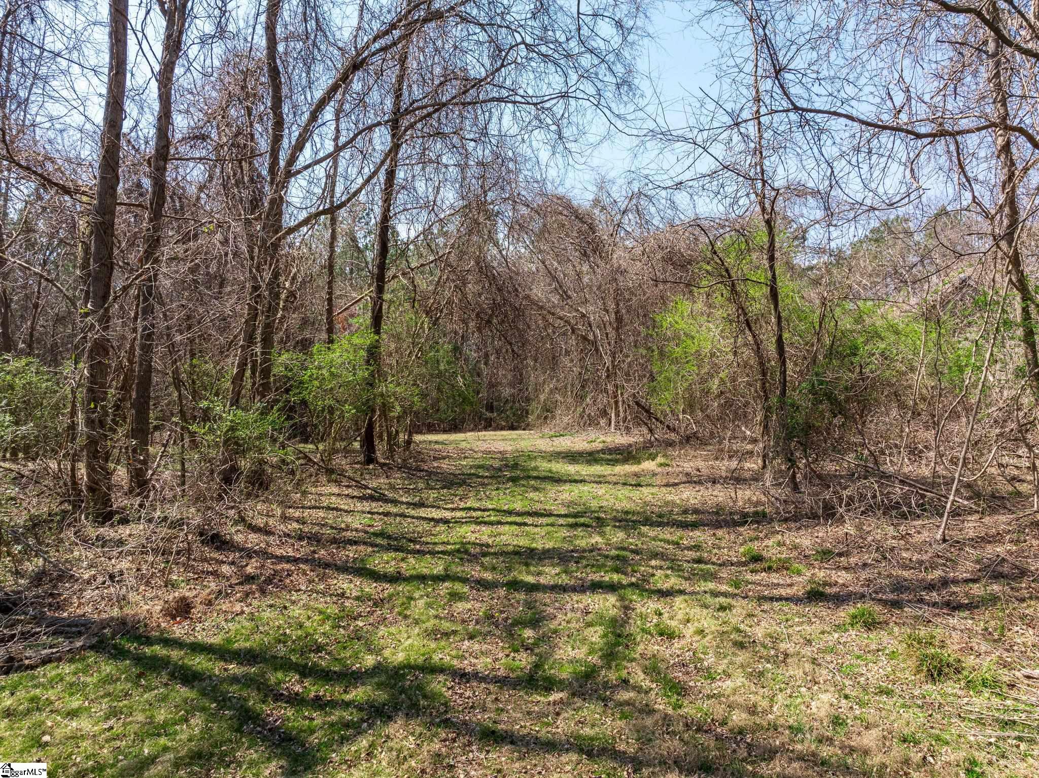 0 Cross Anchor Road Woodruff, SC 29388 - Photo 3 of 27