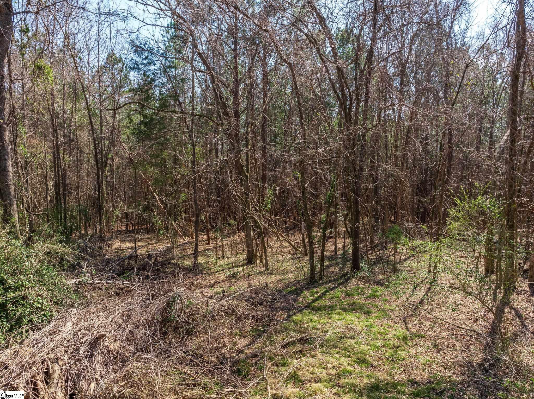 0 Cross Anchor Road Woodruff, SC 29388 - Photo 6 of 27