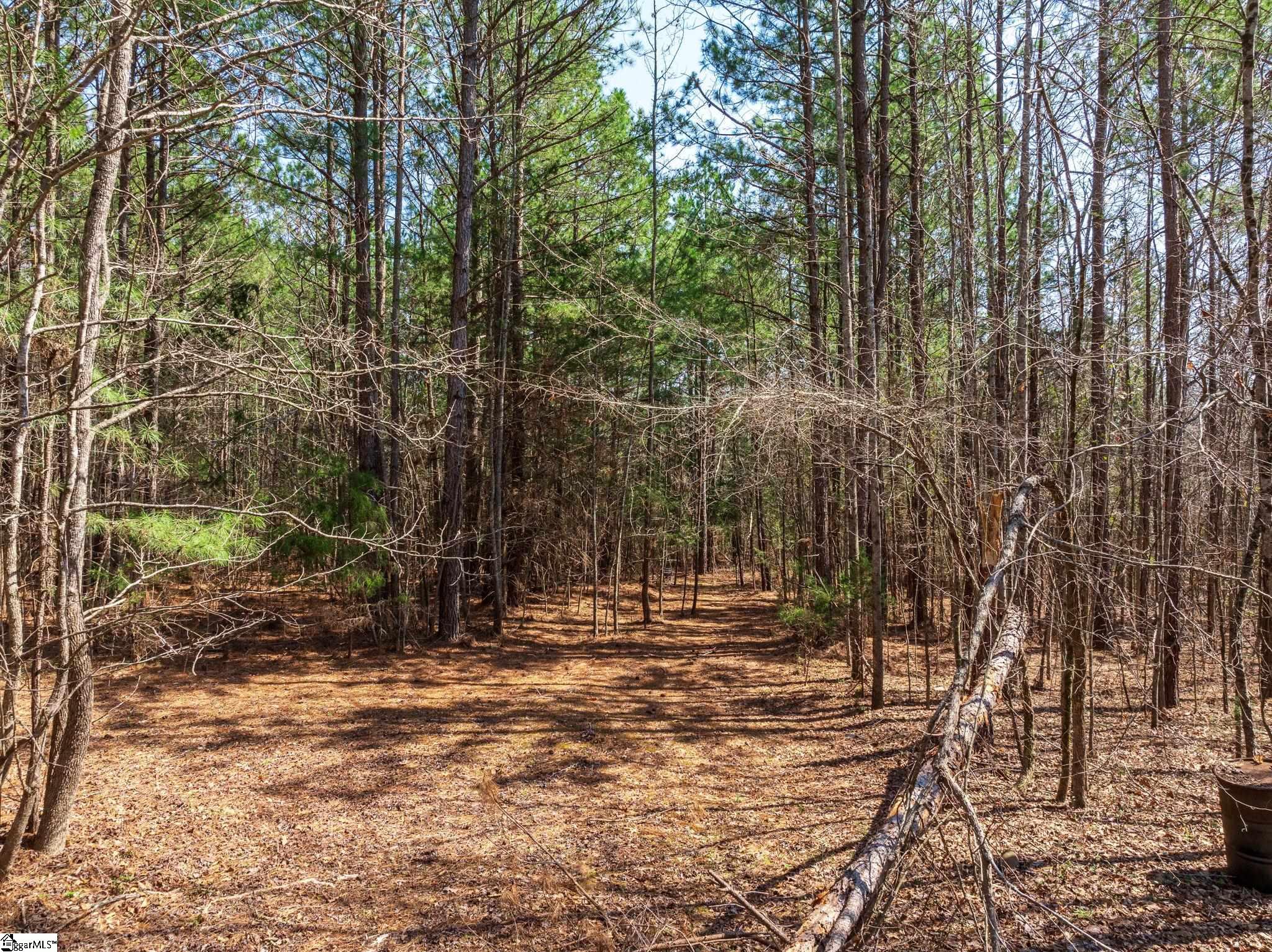 0 Cross Anchor Road Woodruff, SC 29388 - Photo 7 of 27