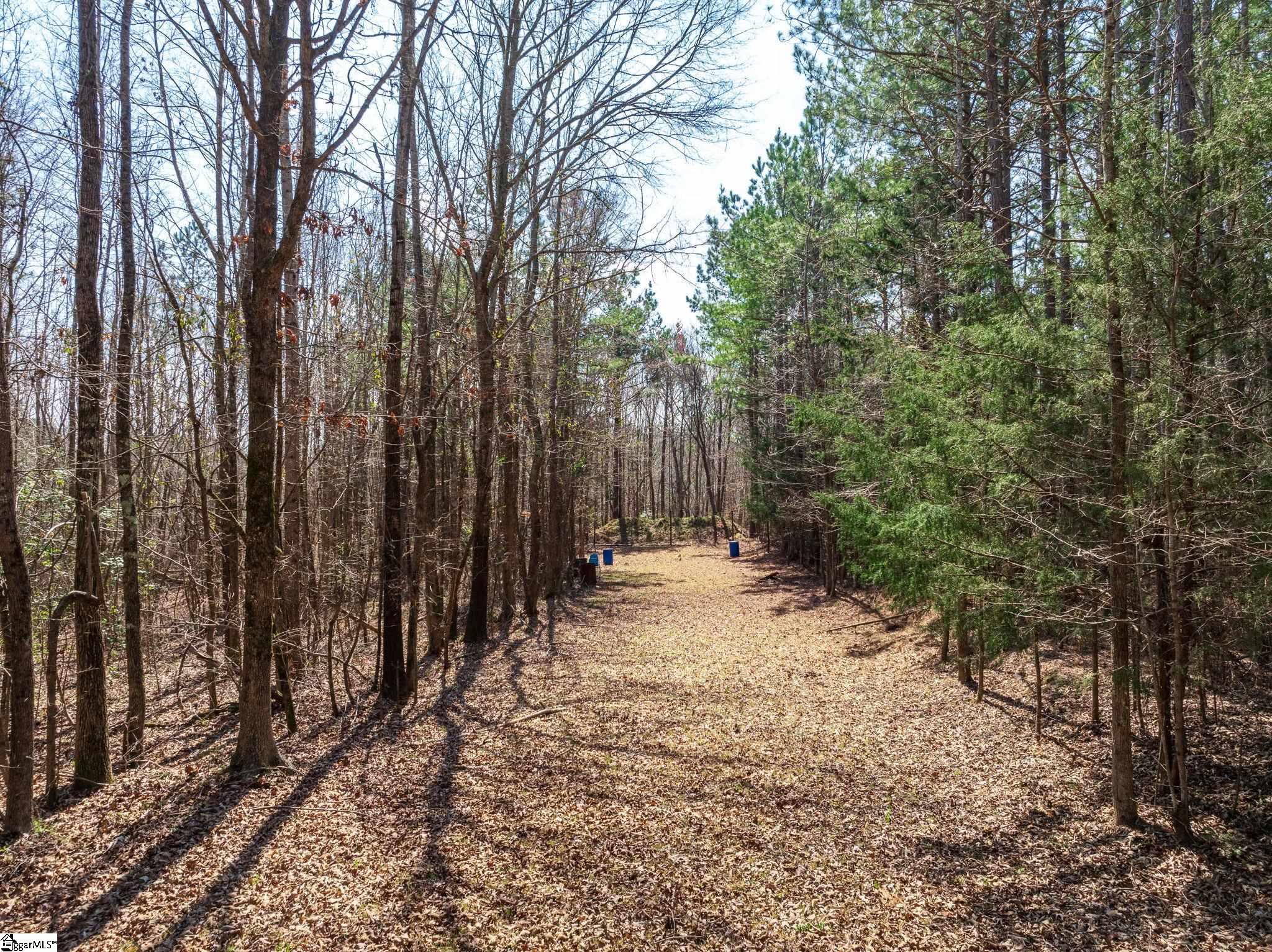 0 Cross Anchor Road Woodruff, SC 29388 - Photo 8 of 27
