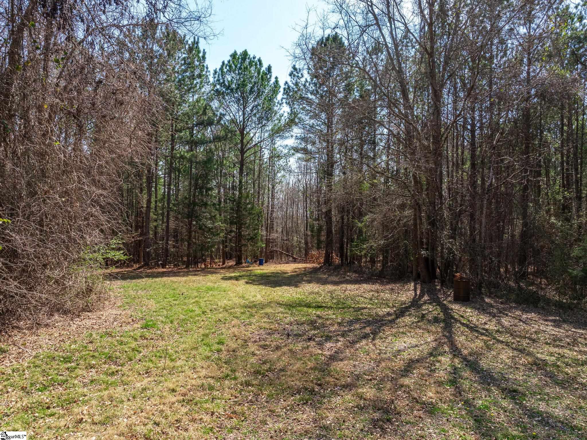 0 Cross Anchor Road Woodruff, SC 29388 - Photo 9 of 27