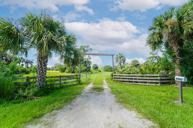 a view of a park with large trees