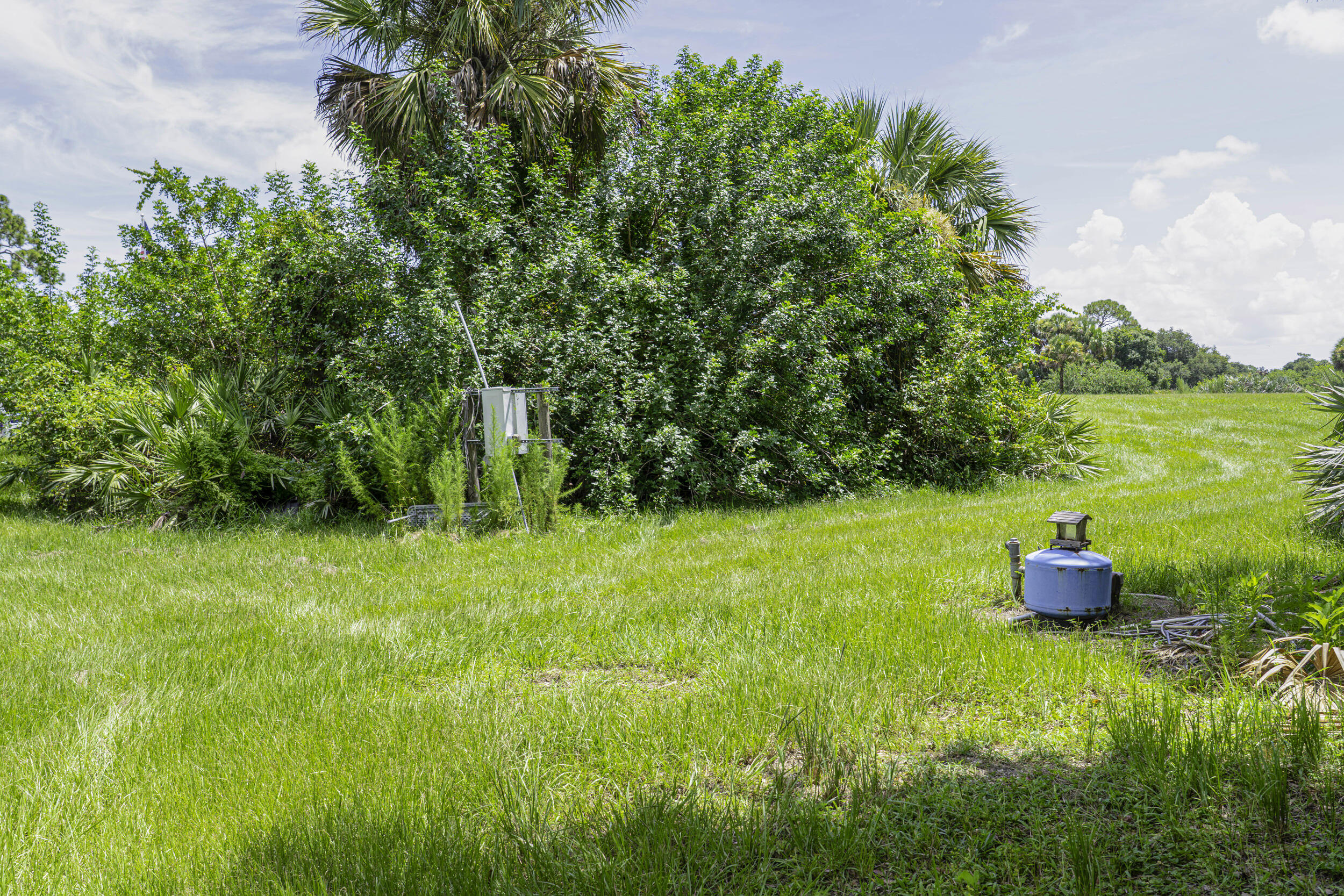 4902 Southwest Wild Turkey Lane Okeechobee, FL 34974 - Photo 14 of 17 a view of a garden