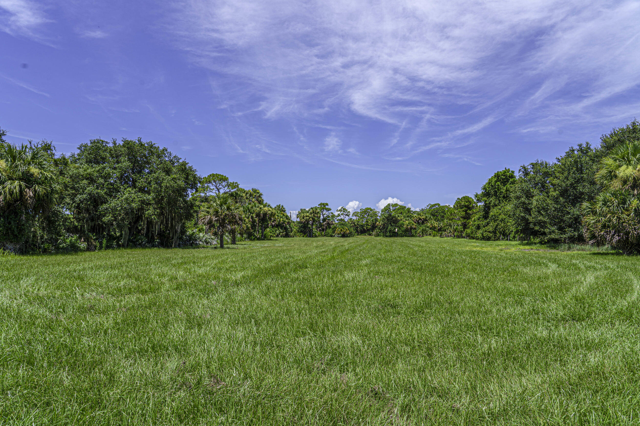 4902 Southwest Wild Turkey Lane Okeechobee, FL 34974 - Photo 16 of 17 a view of a field with grass and trees