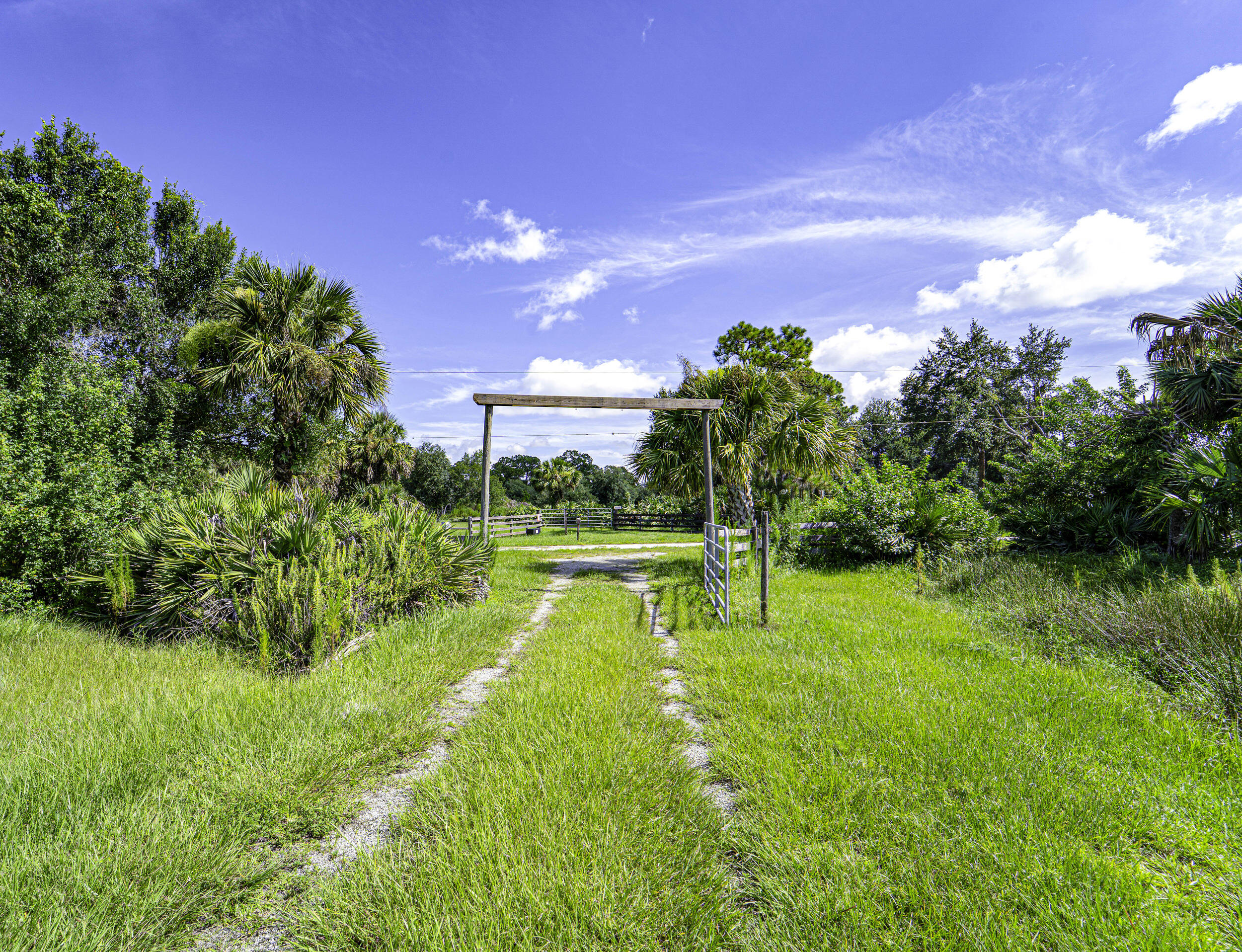 4902 Southwest Wild Turkey Lane Okeechobee, FL 34974 - Photo 4 of 17 a view of a backyard with swimming pool