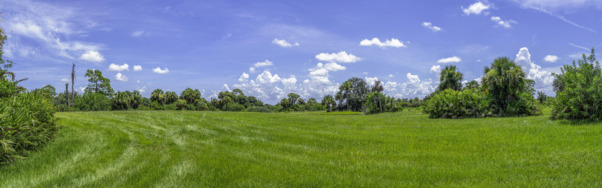 4902 Southwest Wild Turkey Lane Okeechobee, FL 34974 - Photo 5 of 17 a view of a green yard