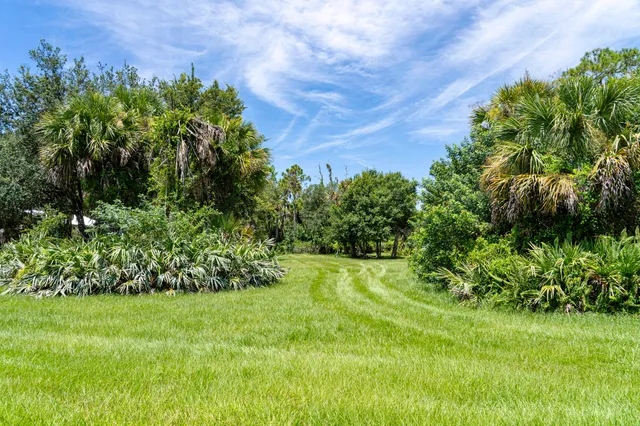 a view of a park with trees in the background