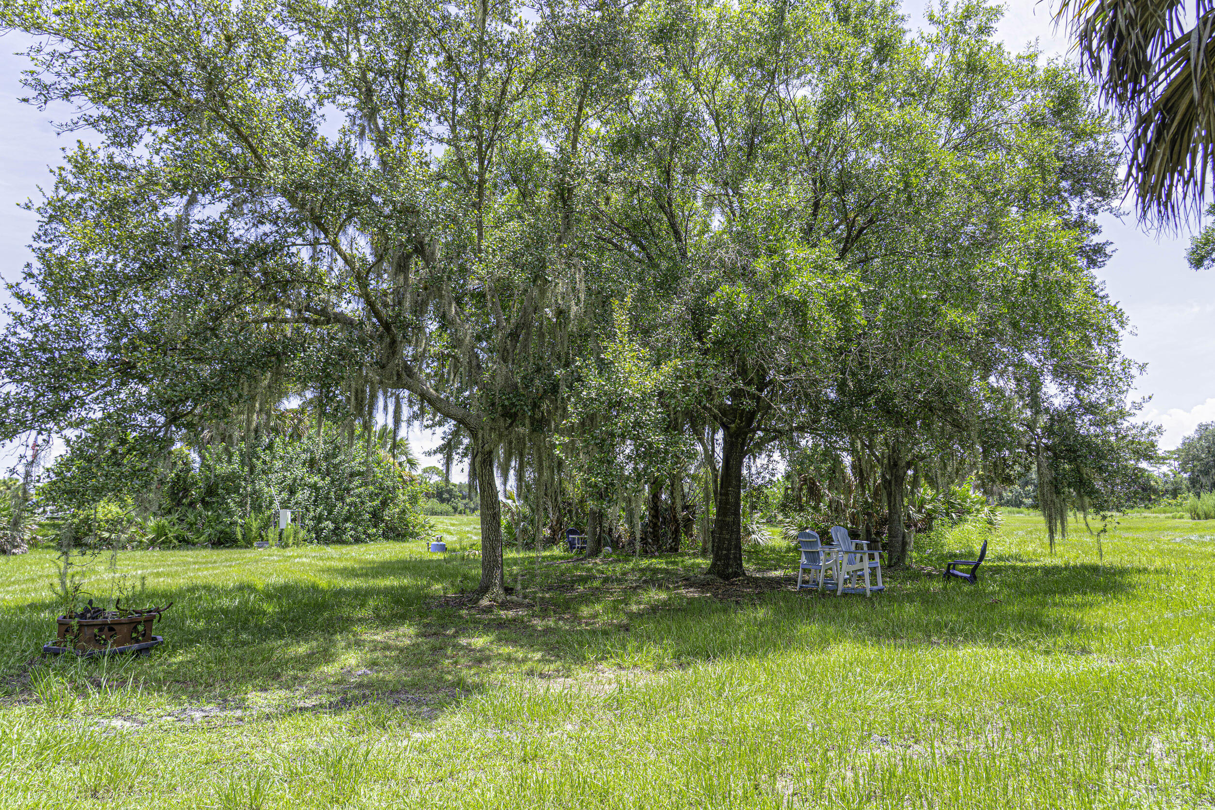 4902 Southwest Wild Turkey Lane Okeechobee, FL 34974 - Photo 9 of 17 a view of a park with trees in the background