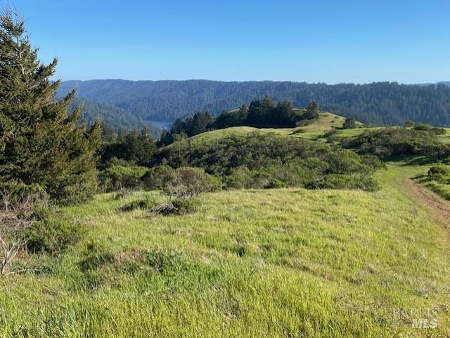 185 Tamal Road Forest Knolls, CA 94933 - Photo 41 of 41