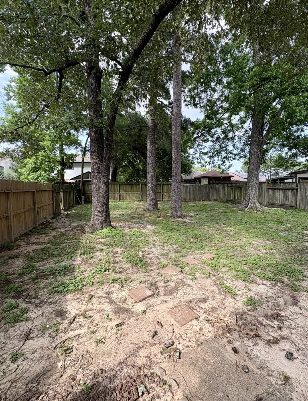 24022 Spring Briar Lane Spring, TX 77373 - Photo 30 of 35 a backyard of a house with lots of green space
