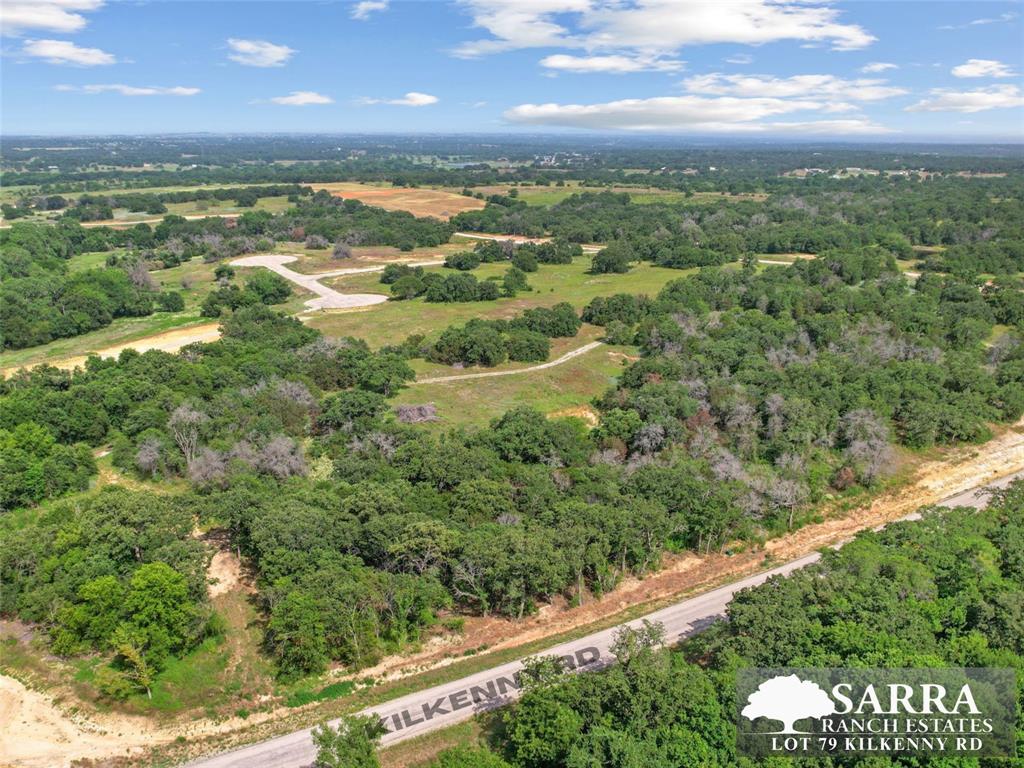 Lot 79 Kilkenney Road Poolville, TX 76487 - Photo 7 of 11
