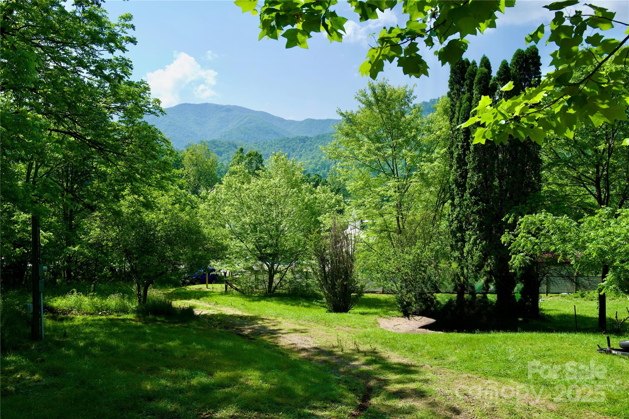 38 Buchanan Hill Road Bakersville, NC 28705 - Photo 19 of 24