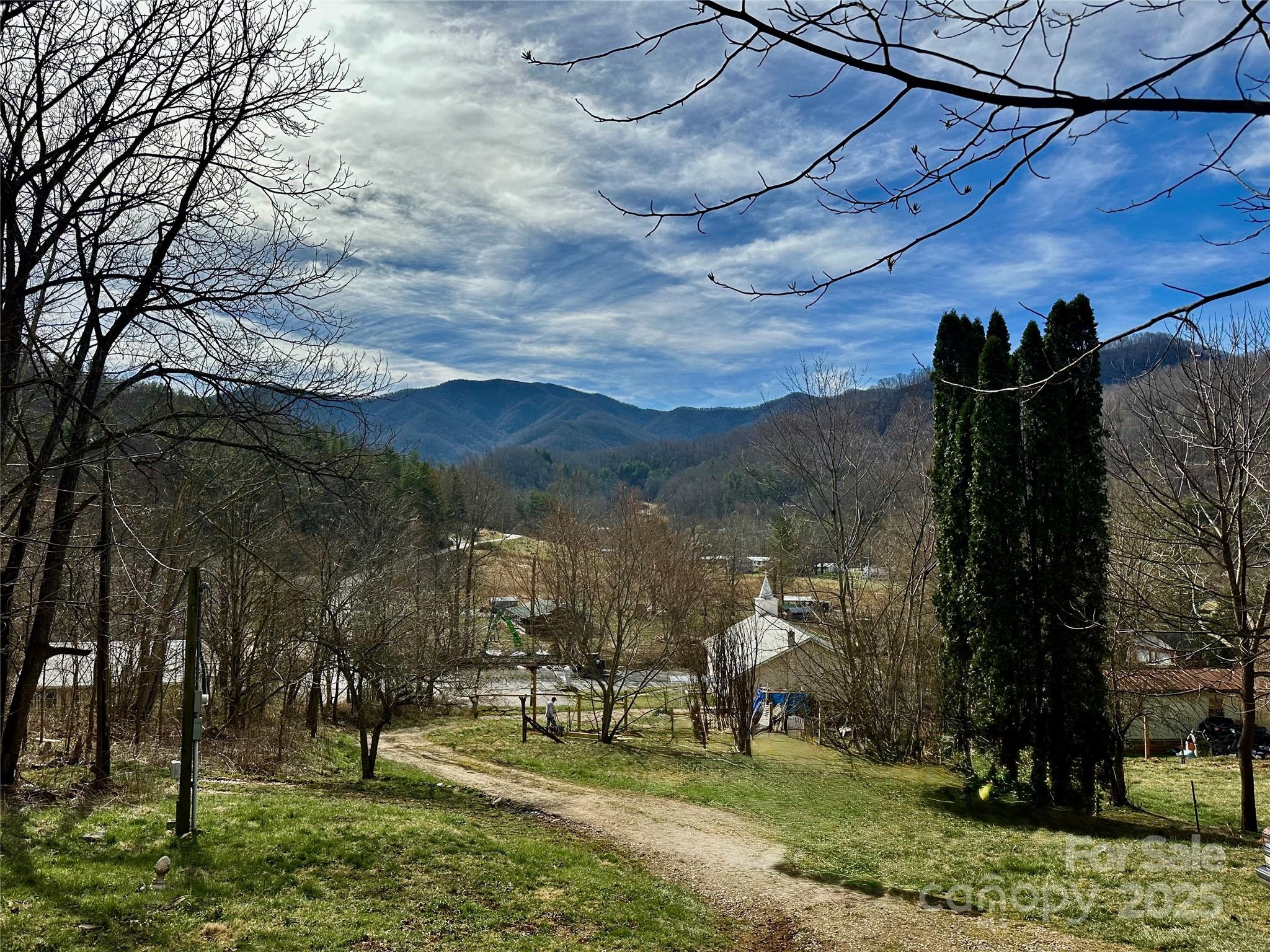 38 Buchanan Hill Road Bakersville, NC 28705 - Photo 22 of 24