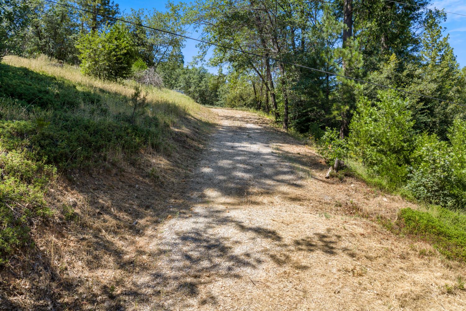 0 Meyers Road Camino, CA 95709 - Photo 8 of 28