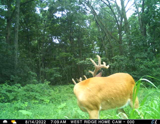 Xx Xx Simons Road Mondovi, WI 54755 - Photo 28 of 45