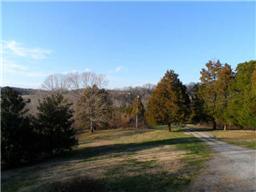 3720 Tarsus Road Palmyra, TN 37142 - Photo 3 of 20 Beautiful view from the Front Porch of this quiet, relaxing country setting!