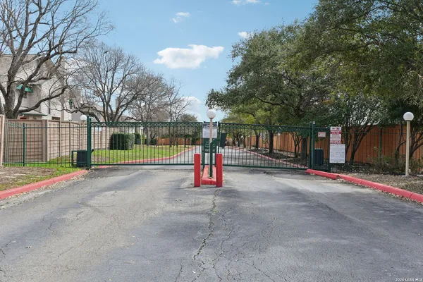 a park with large trees
