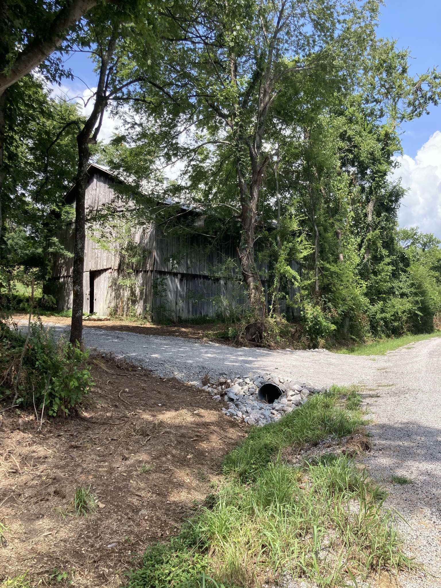 12 Joy Road Mount Pleasant, TN 38474 - Photo 3 of 6 a view of a yard with plants and a large tree
