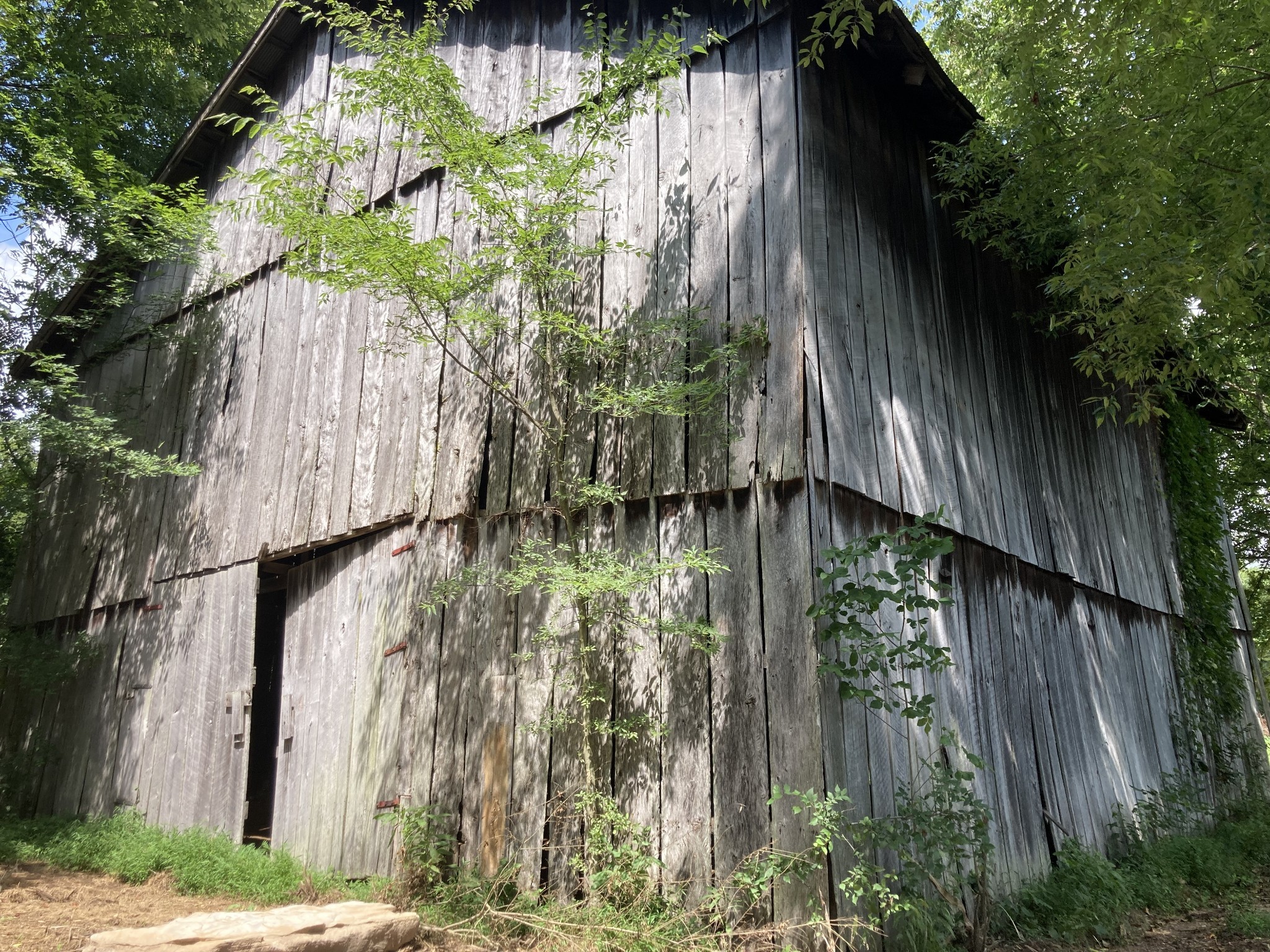 12 Joy Road Mount Pleasant, TN 38474 - Photo 5 of 6 a backyard of a house