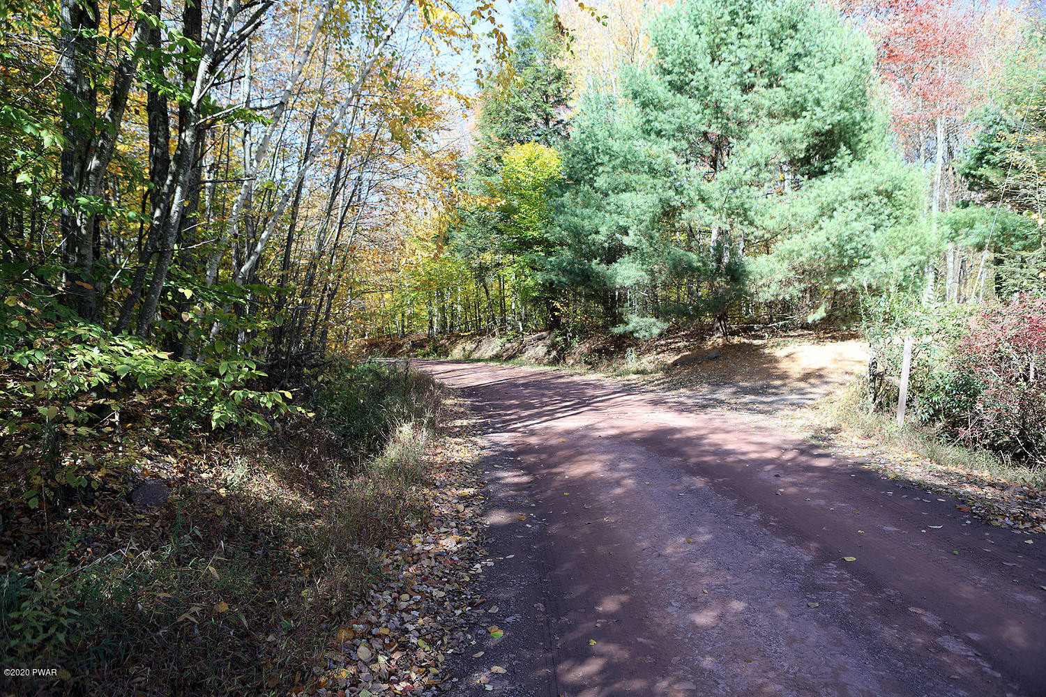 0 Bush Road Equinunk, PA 18417 - Photo 45 of 48 314A3219