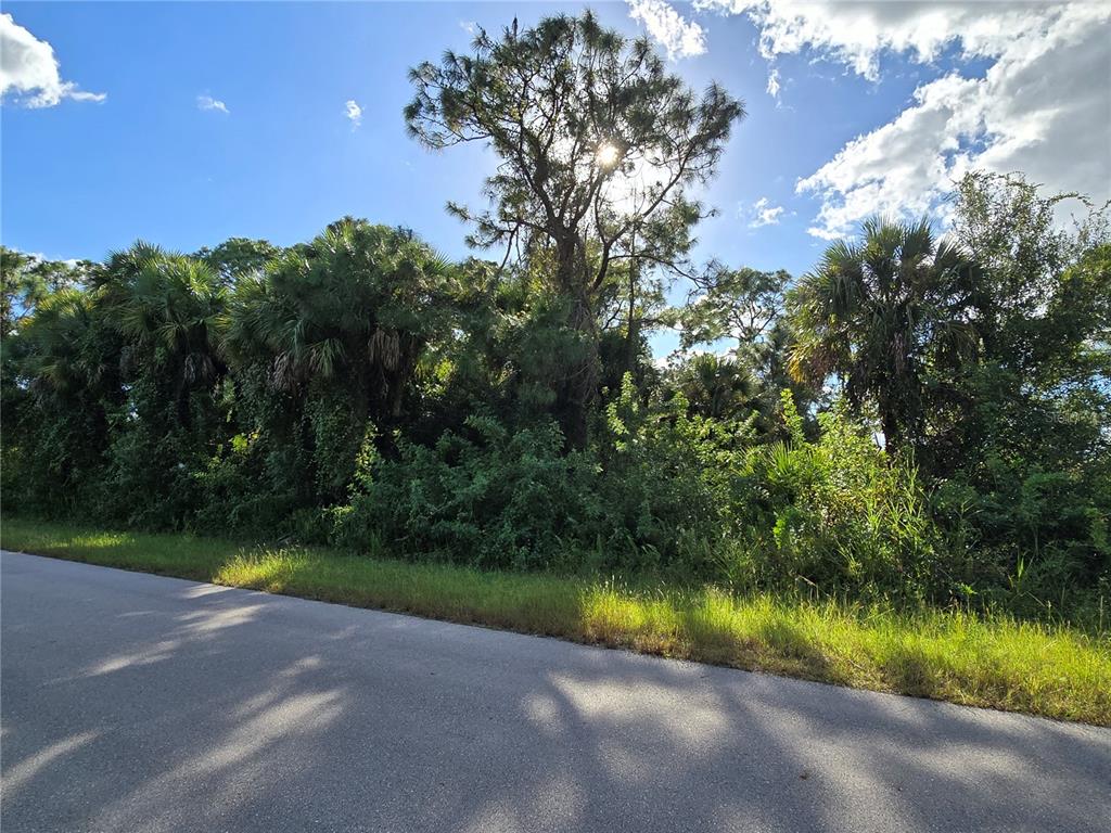 454 Naples Avenue South Lehigh Acres, FL 33974 - Photo 3 of 5 a view of swimming pool and lake view