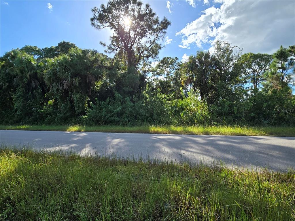 454 Naples Avenue South Lehigh Acres, FL 33974 - Photo 4 of 5 a view of a yard with plants and large trees