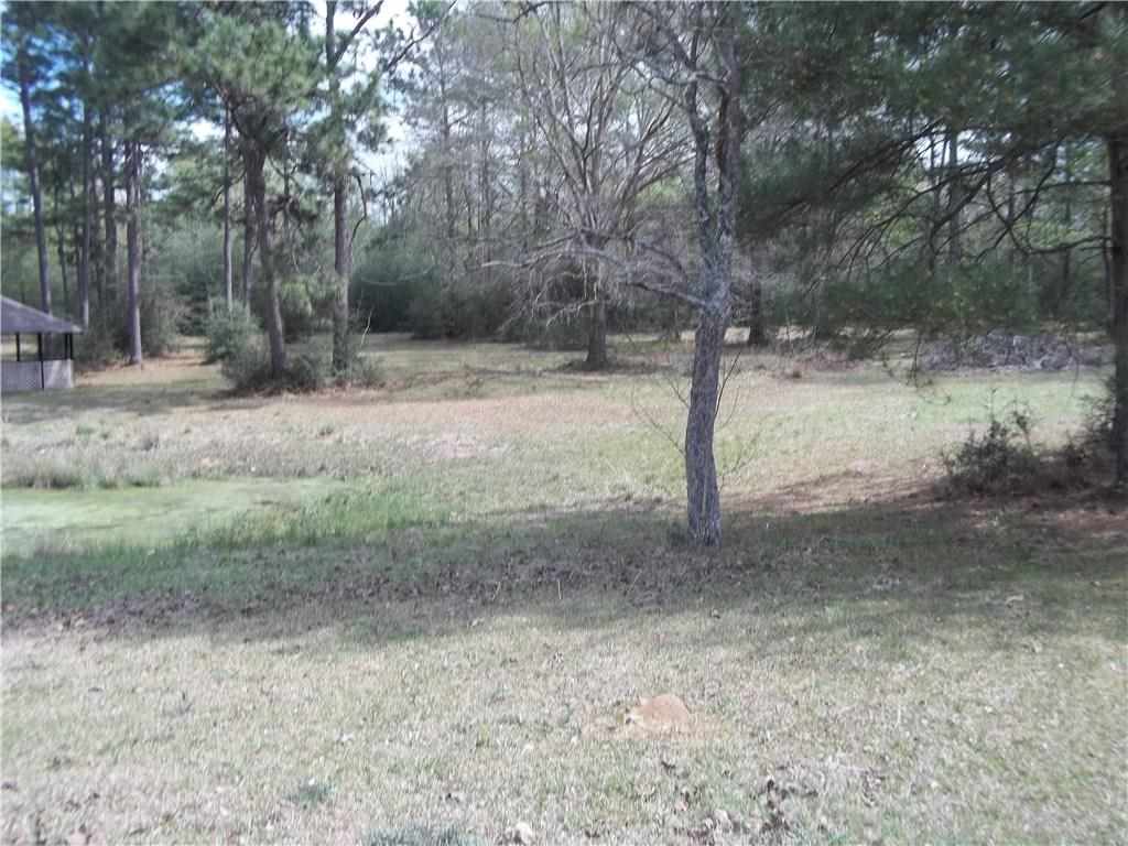 23288 Davis Branch Road Amite, LA 70422 - Photo 6 of 25 Gallery Image 6