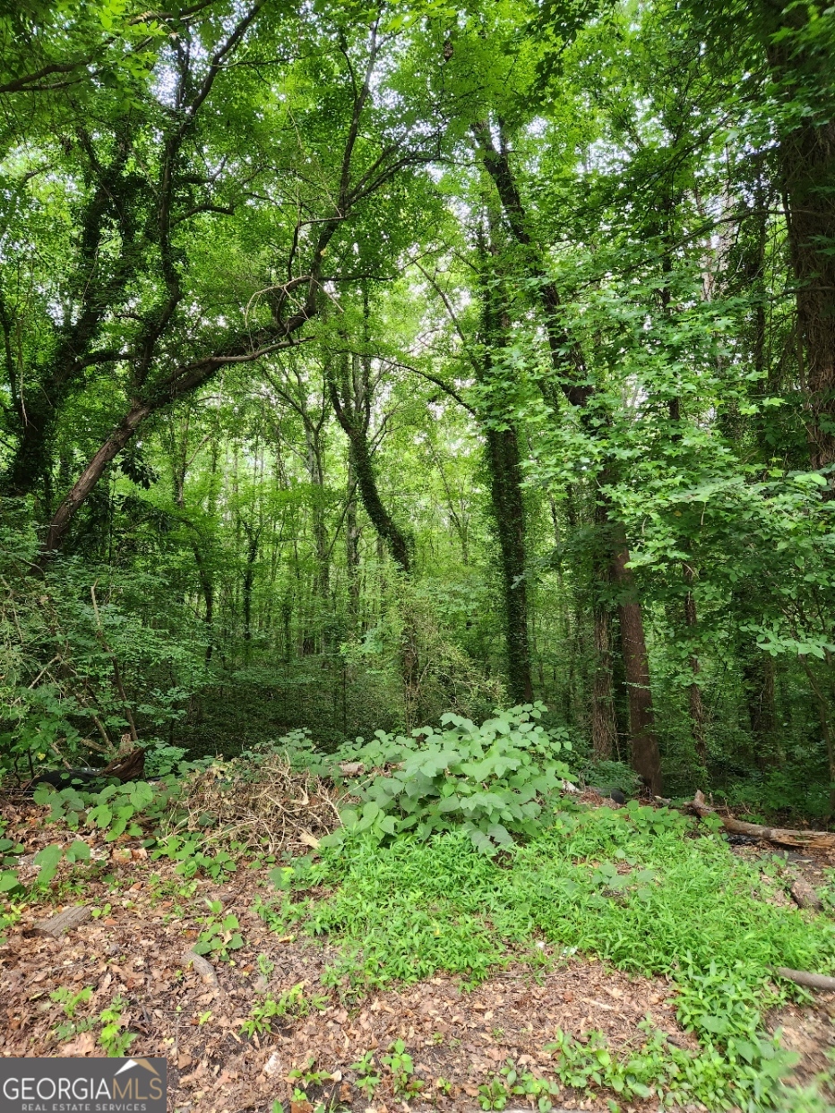 0 West Kimberly Road Southwest Atlanta, GA 30331 - Photo 3 of 3 a view of outdoor space and yard