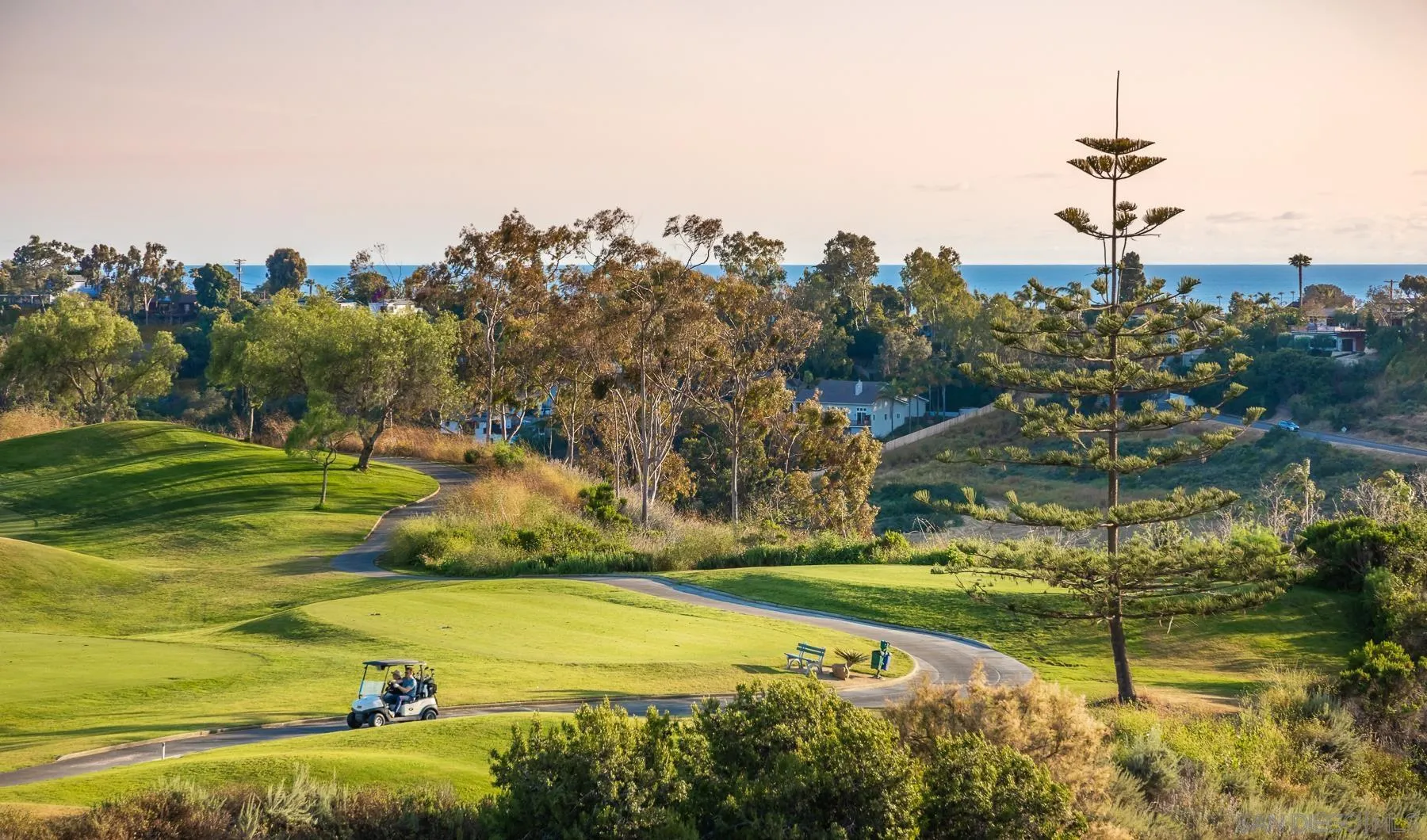 1355 Ravean Court Encinitas, CA 92024 - Photo 2 of 31 a view of a lake with a yard