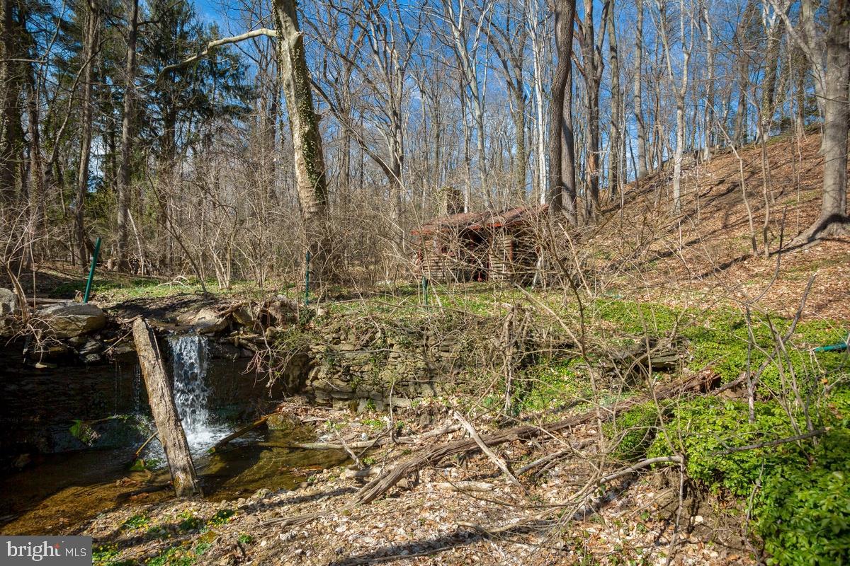1209 Rydal Road Jenkintown, PA 19046 - Photo 32 of 37 Your own stream, pond and waterfall