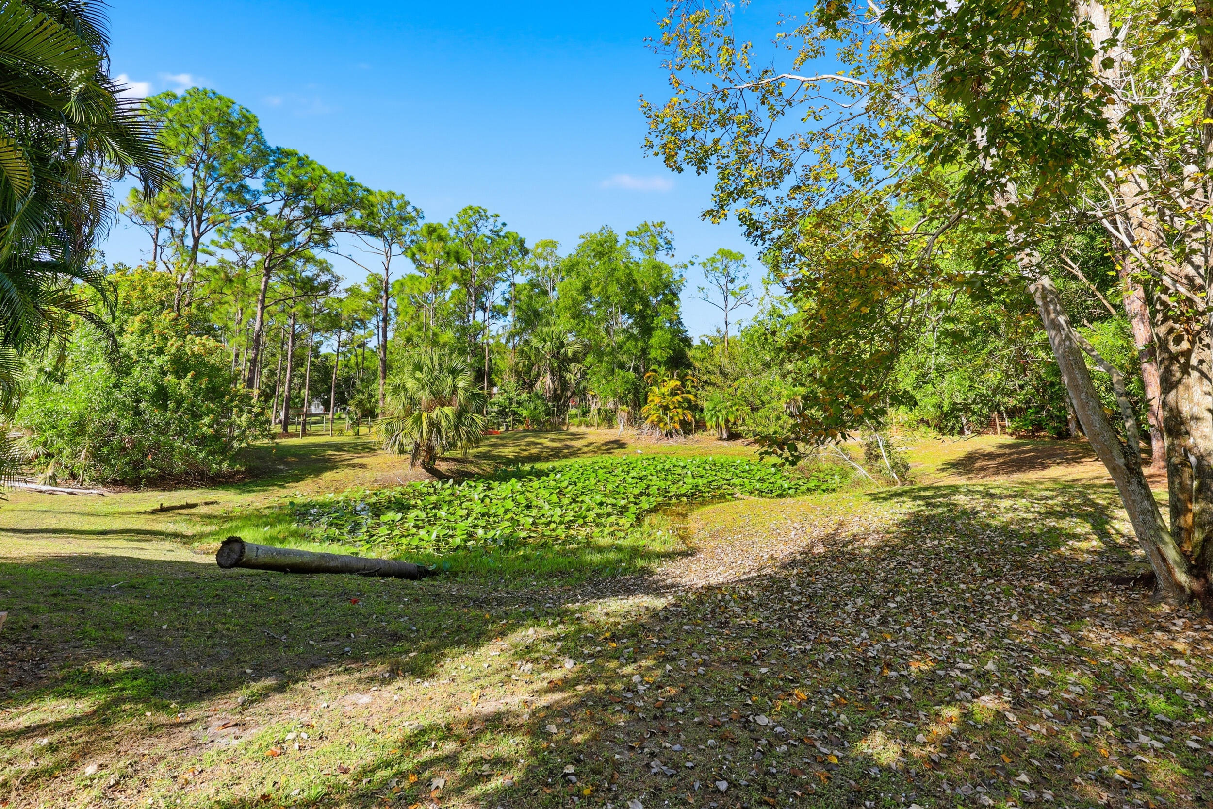 10297 Sandy Run Road Jupiter, FL 33478 - Photo 43 of 50 Pond