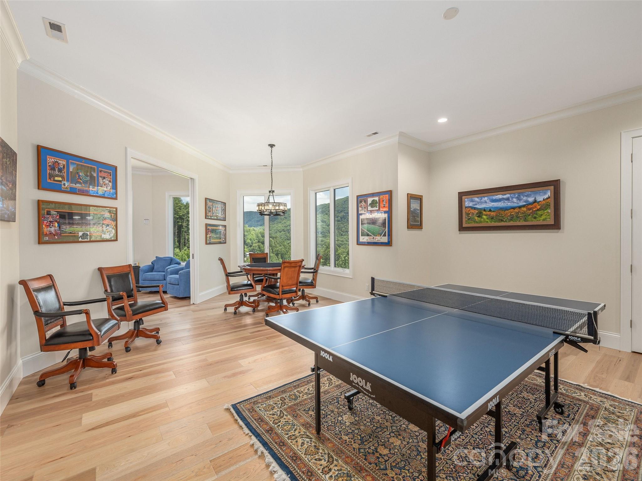 167 Southpoint Ridge Maggie Valley, NC 28751 - Photo 19 of 24