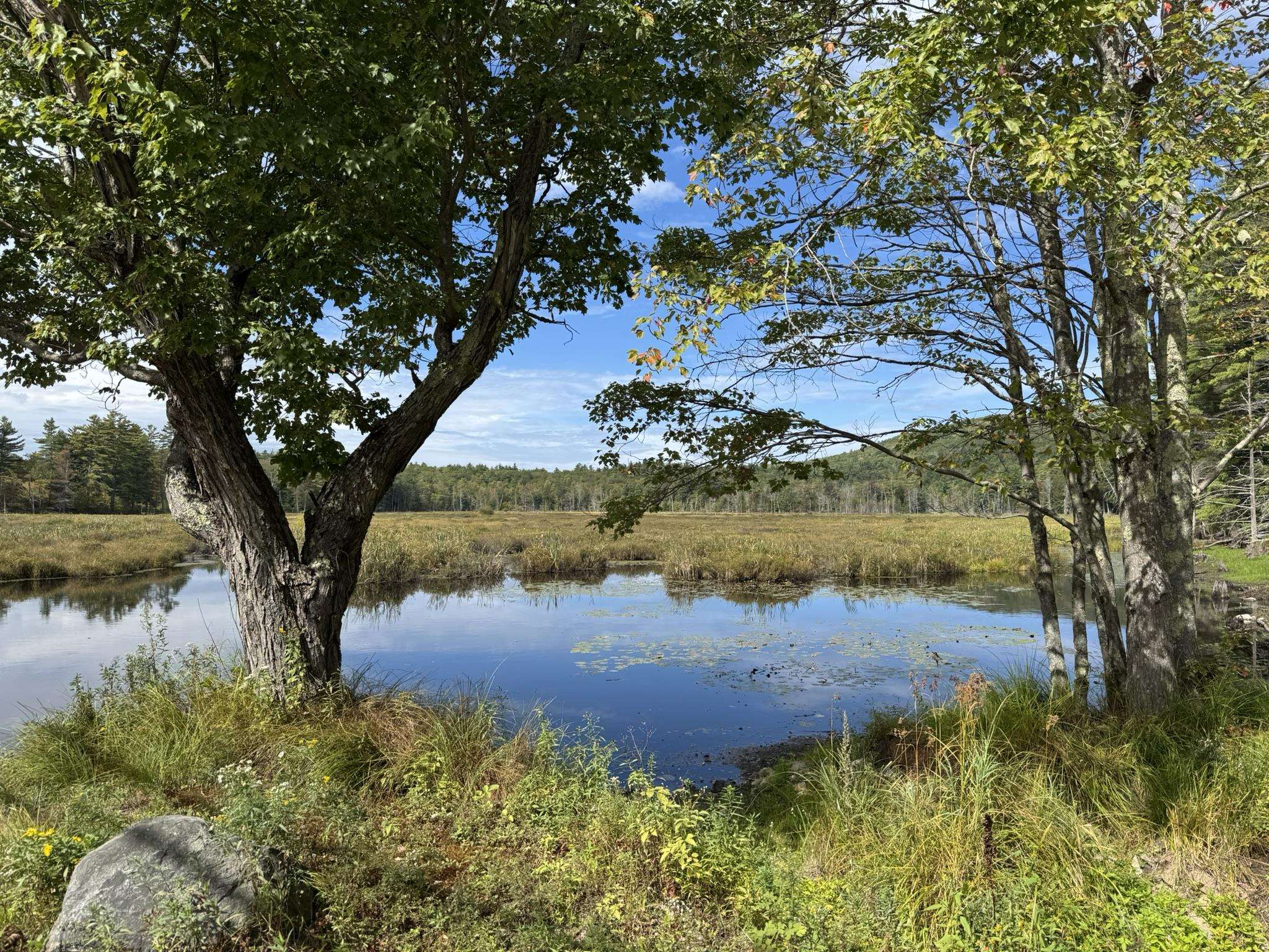 181 Francestown Road Greenfield, NH 03047 - Photo 1 of 23