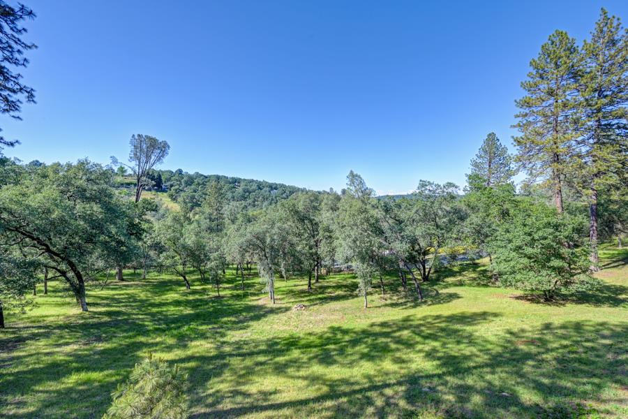5000 Reservation Road Placerville, CA 95667 - Photo 59 of 85 a view of a green field with lots of bushes