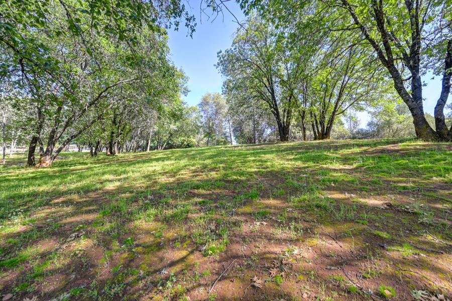 5000 Reservation Road Placerville, CA 95667 - Photo 60 of 85 a big yard with lots of green space and trees