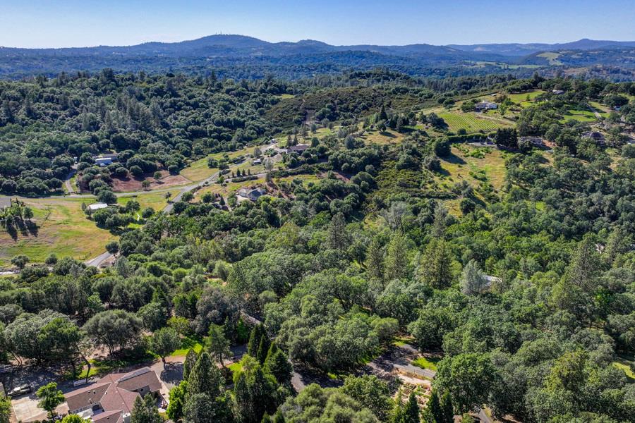 5000 Reservation Road Placerville, CA 95667 - Photo 83 of 85 a view of a forest with a street