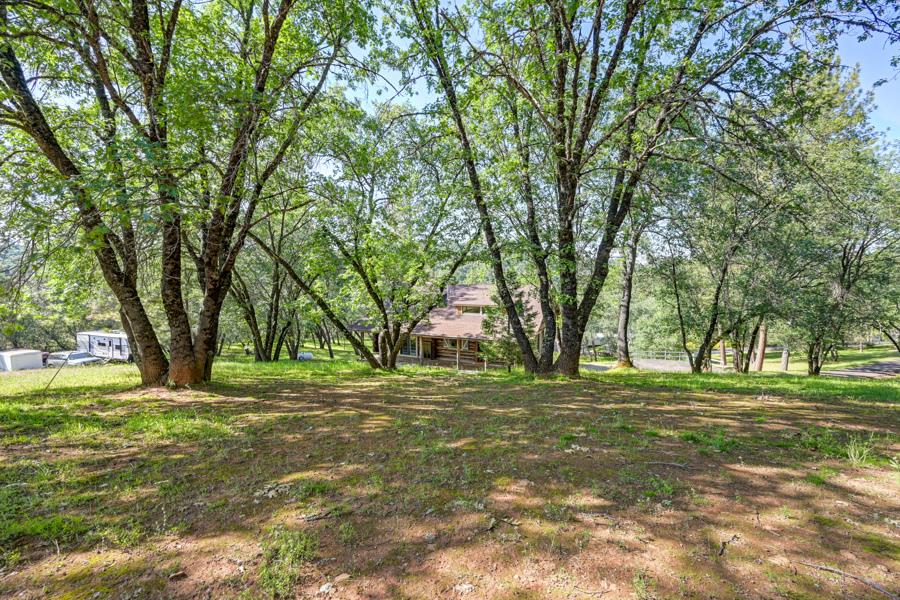 5000 Reservation Road Placerville, CA 95667 - Photo 9 of 85 a big yard with lots of trees