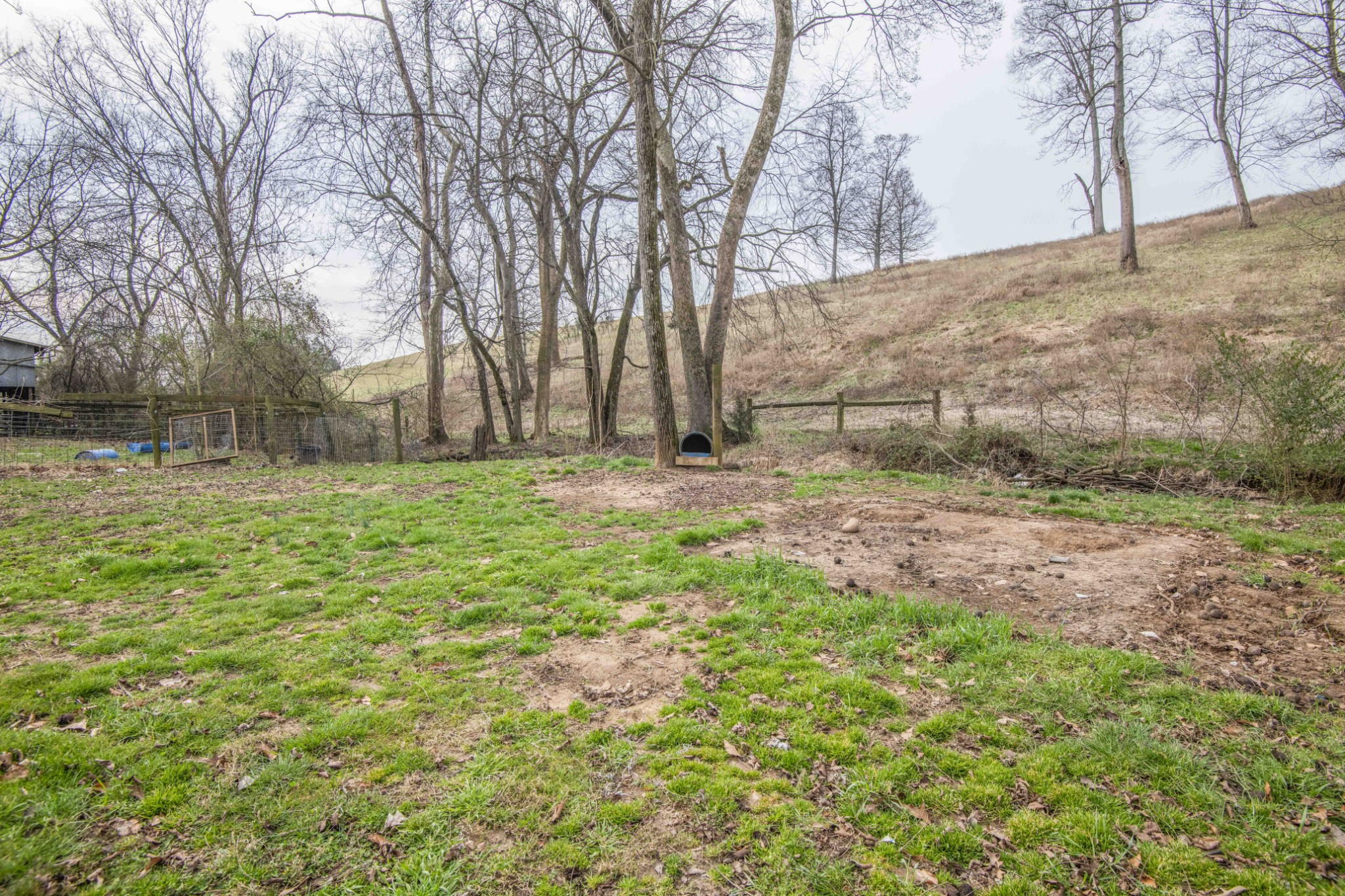 1946 Spoon Hollow Road Rutledge, TN 37861 - Photo 40 of 48