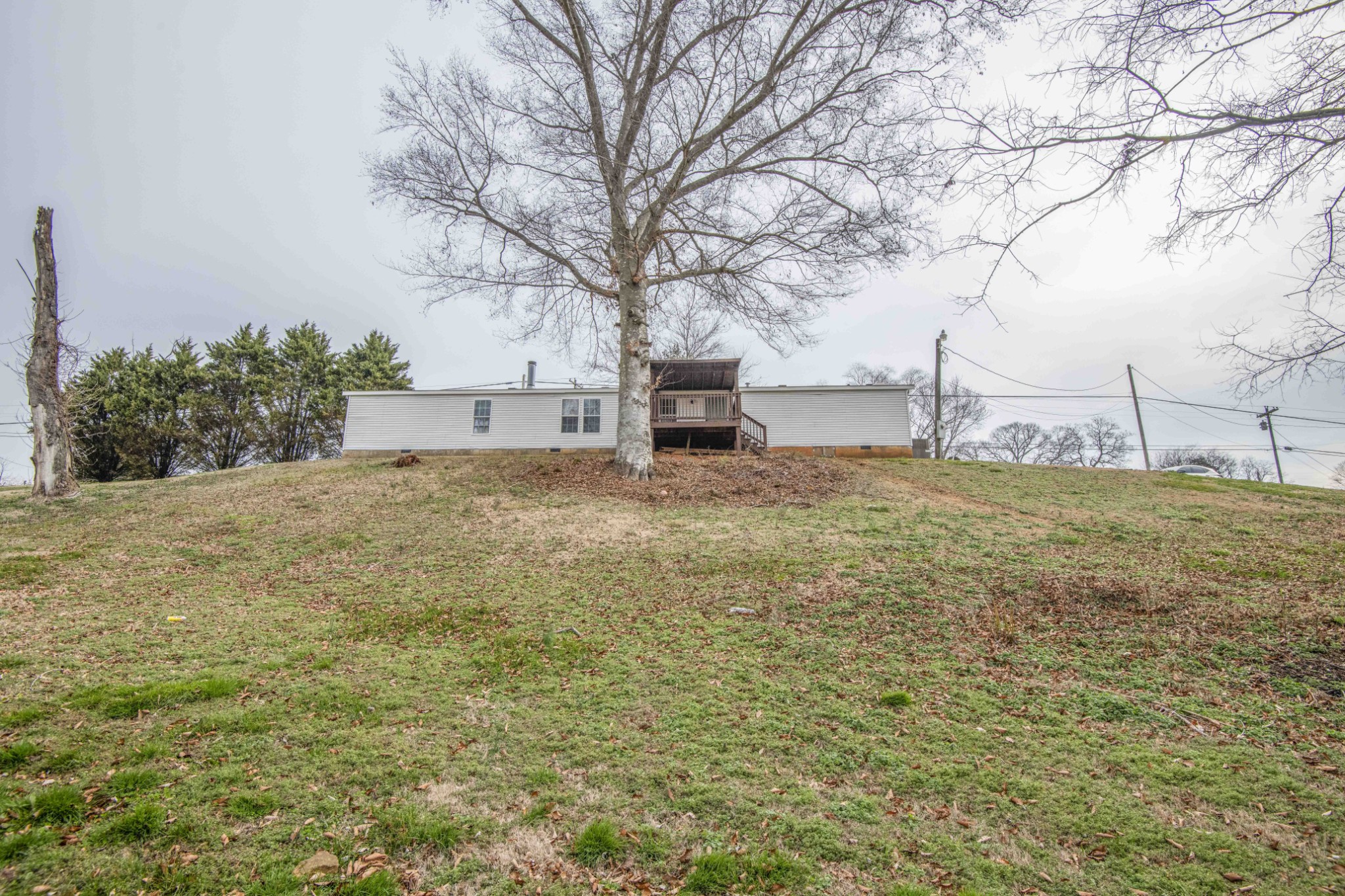 1946 Spoon Hollow Road Rutledge, TN 37861 - Photo 42 of 48