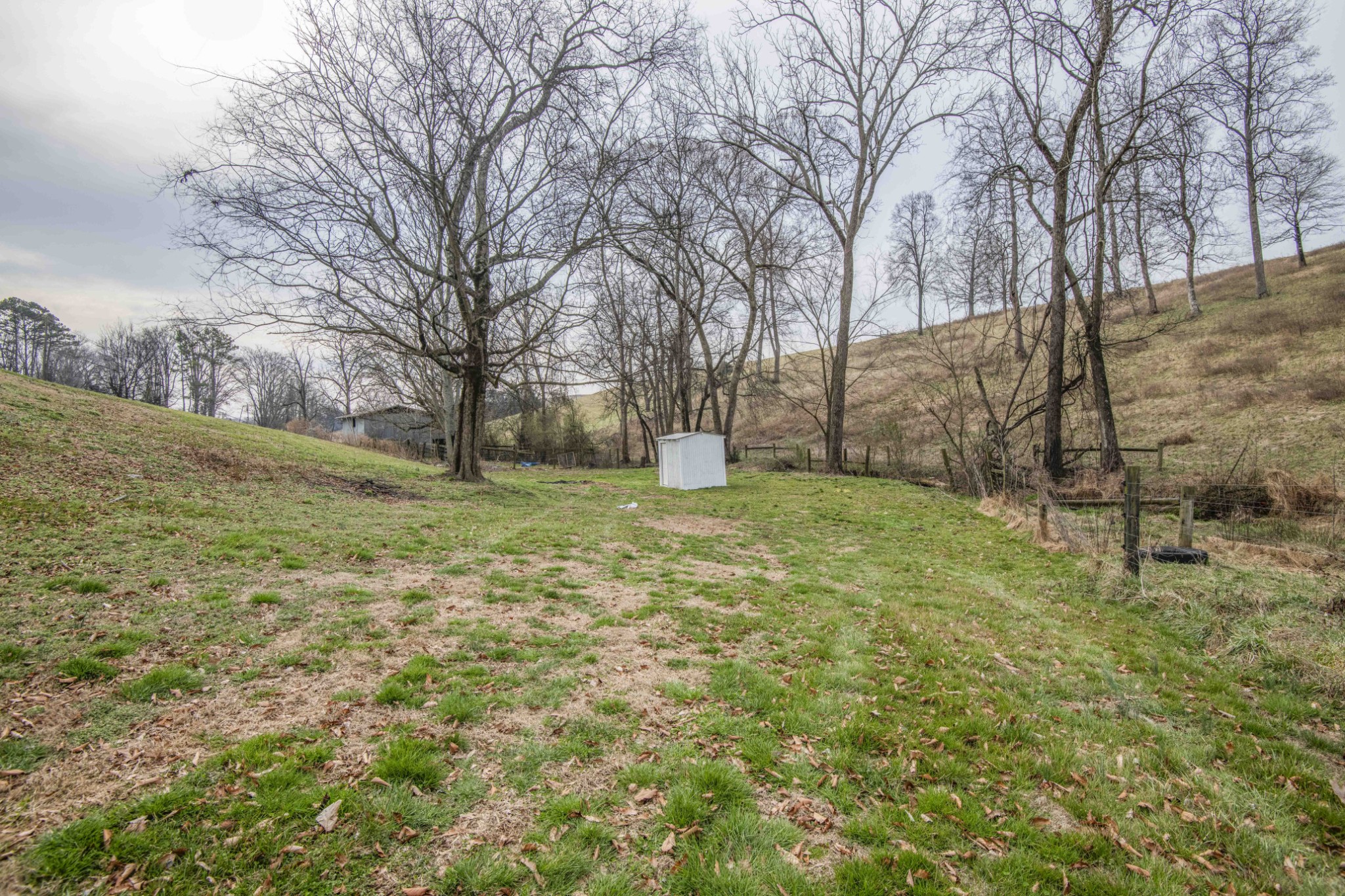 1946 Spoon Hollow Road Rutledge, TN 37861 - Photo 43 of 48