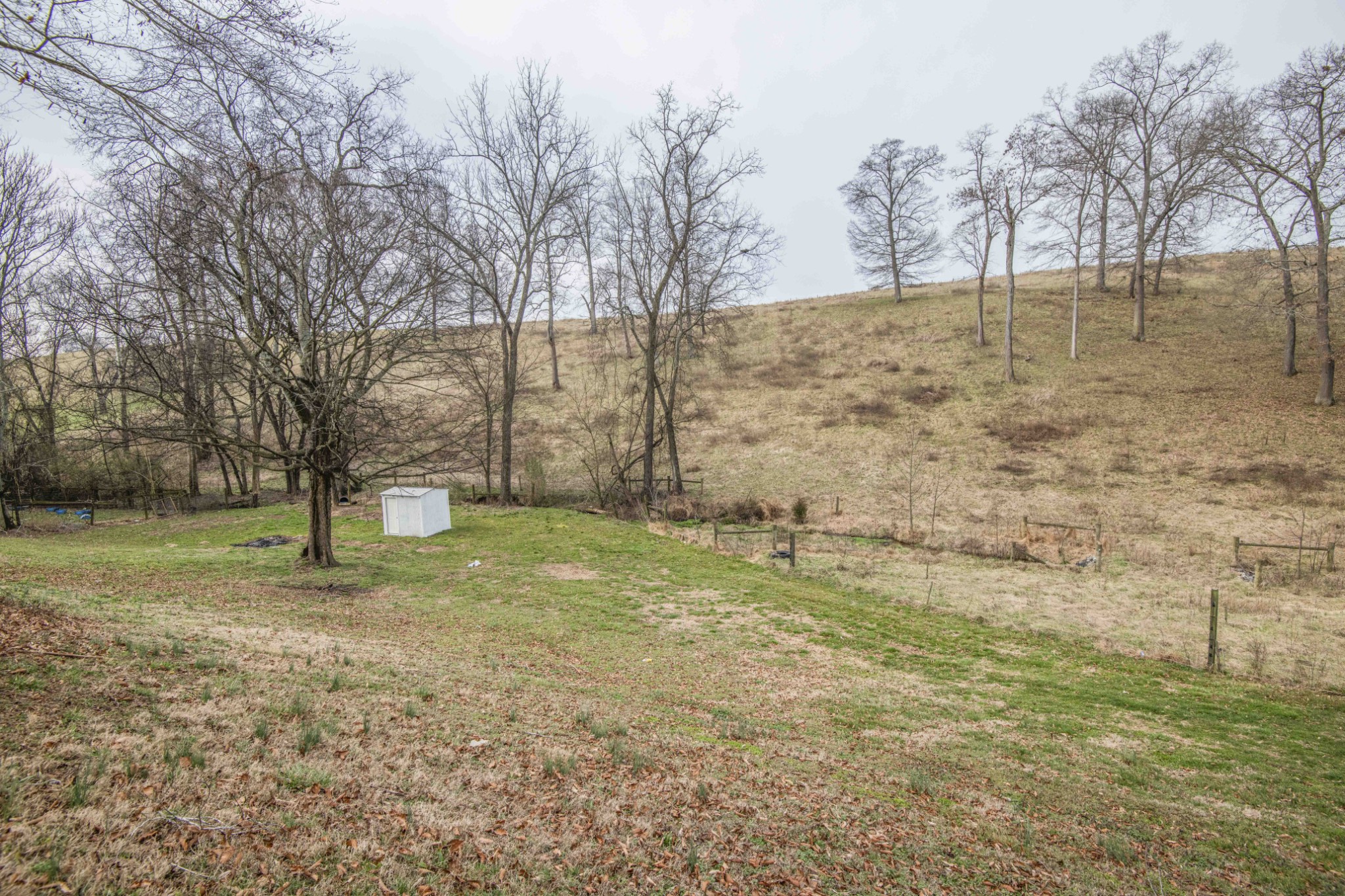 1946 Spoon Hollow Road Rutledge, TN 37861 - Photo 44 of 48