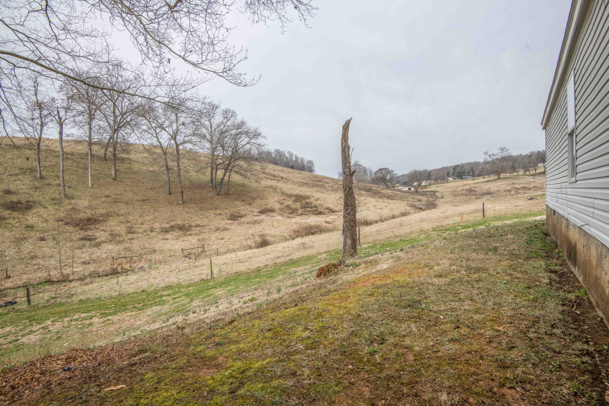 1946 Spoon Hollow Road Rutledge, TN 37861 - Photo 45 of 48
