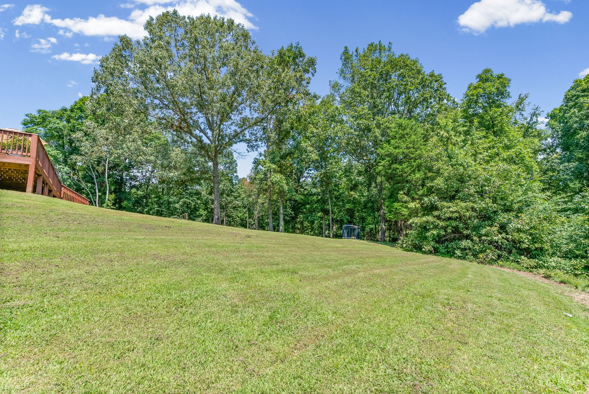 328 Wilson Hollow Road Dickson, TN 37055 - Photo 31 of 39 Gallery Image 31