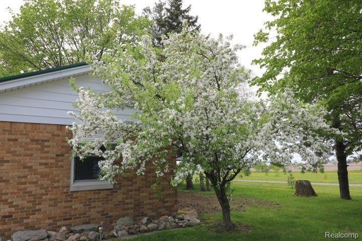 4067 West Caro Road Caro, MI 48723 - Photo 4 of 16 IMG_1550.jpg