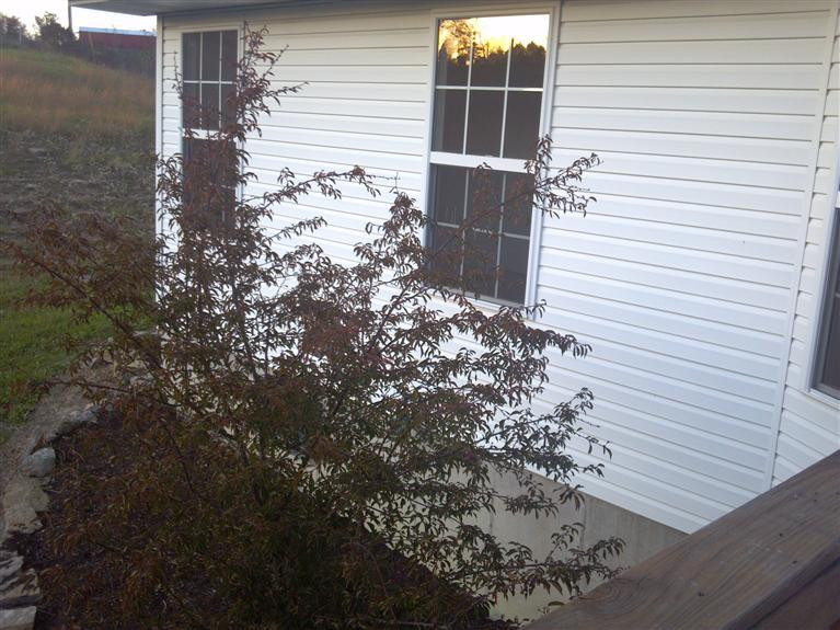 13555 New Columbus Road Corinth, KY 41010 - Photo 6 of 30 Gallery Image 6