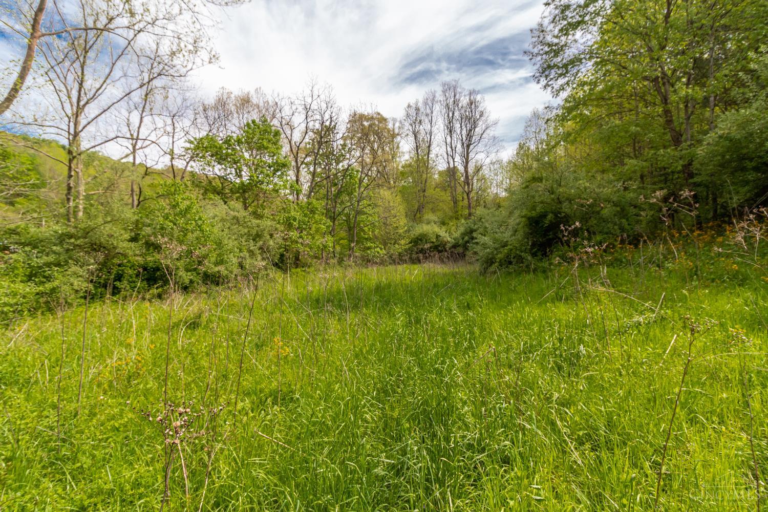 2432 Johnson Run Road Stout, OH 45684 - Photo 24 of 57 Gallery Image 24